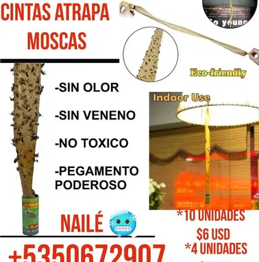 Spray Insecticida, chinches,moscas , mosquitos, cucarachas - Img 94753556