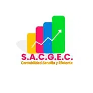 Sistemas simplificados de contabilidad para negocios Cuentapropistas - Img 54966208