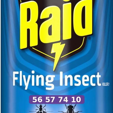 Raid para mosquitos 20 oz - 3/3