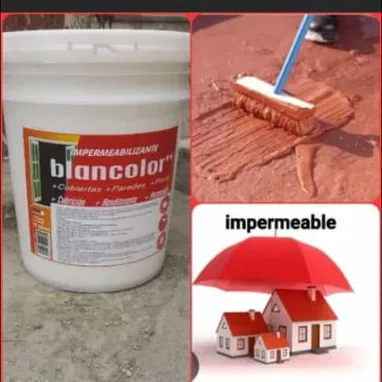 Pintura impermeabilizante - Img 120624434