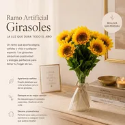 Girasoles - Img 55878406