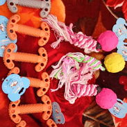 SE VENDEN ARTICULOS DE PERROS POR UNIDAD Y CANTIDAD LOS MEJORES PRECIOS - Img 54622329