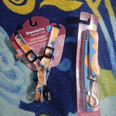Pecheras y correas para perros y gatos - Img 125212933