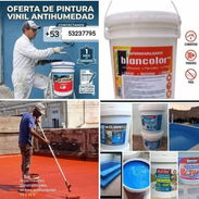 Pinturas de todo tipo - Img 56960932