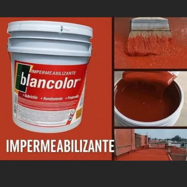 Pinturas de calidad - Img 116889430