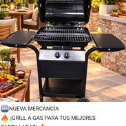 Grill a gas para tus mejores parrilladas - Img 58114624