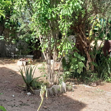 Se vende casa con terreno - 2/4