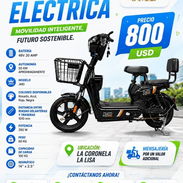 Bicicleta o bisimoto - Img 56185913