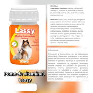 Vitaminas Lassy - Img 45506858