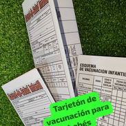 Tarjetón de vacunación para bebés (niños o niñas) - Img 58283869