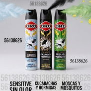 Spray insecticida - Img 55743594