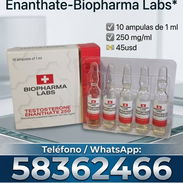 Testosterona de Enanthathe Biopharma 10 ámpulas Labs - Img 57135041