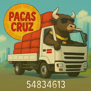 Venta de pacas premium de primera mano - Img 55773044