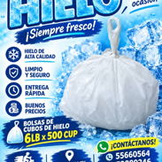 Bolsa de hielos en cubos 6lb - Img 57882035