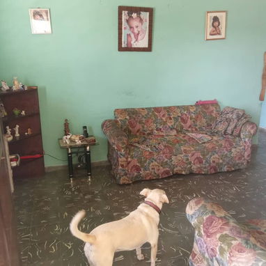 Apartamento en Los Pinos Arroyo Naranjo,3 cuartos. - Img 124766924