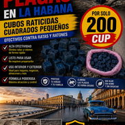 Raticida cebo atrayente y efectivo para eliminar las ratas y ratones - Img 56908465