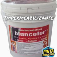 PINTURA IMPERMEABILIZANTE BLANCOLOR - Img 54999021