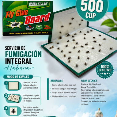 Exterminio de moscas y mosquitos en La Habana - 2/5