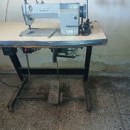 Maquina de Coser Industrial - Img 57843730