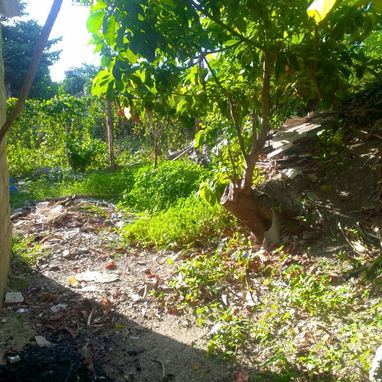 Venta de casa - 9/9