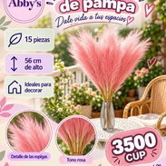 Espigas de pampa - Img 57677208