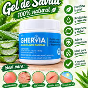 Gel de Sábila o Aloe Vera - Img 57864763