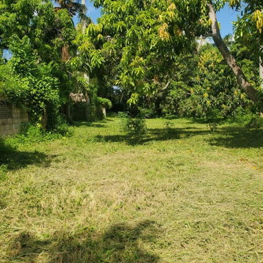 !!!🏡SE VENDE FINCA CON 9600 METROS CUADRADOS TOTALES EN PROPIEDAD !!!! - 8/10