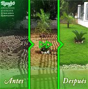 Venta de Césped Natural • RANDY'S Jardinería y Ornamentos - Img 45818938