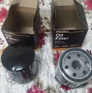 Filtro de aceite de Peugeot y citroen. XUD9, xu9, tud5,tu5, dw8 casi todos los modelos. Alemánes. - Img 37274598