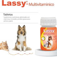 Multivitaminas Lassy para perros y gatos - Img 50351912