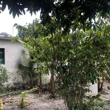 VENTA DE CASA INDEPENDIENTE EN SAN MIGUEL DEL PADRÓN DIEZMERO - Img 114999589