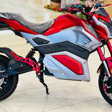 Bicicleta deportiva eléctrica Rohan Wings RS-2 | 60V20Ah - Img 124203293