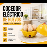 Hervidor de huevos - Img 57025509