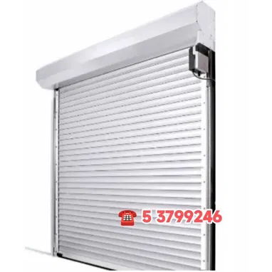 PUERTAS de GARAJE...PUERTAS ENROLLABLES...MOTORES a CONTROL REMOTO para todo tipo de PUERTAS...5 3799246 - Img 115831608