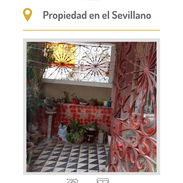 Biplanta en el Sevillano - Img 55549668