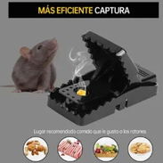 rATONERAS. ADIOS PLAGAS - Img 54356532