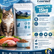 Pienso 15kg CATS Premium para gatos adultos - Img 58180364
