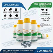 Fipronil Terminal insecticidas - Img 57201239