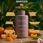 Aloe glow - Img 57581277
