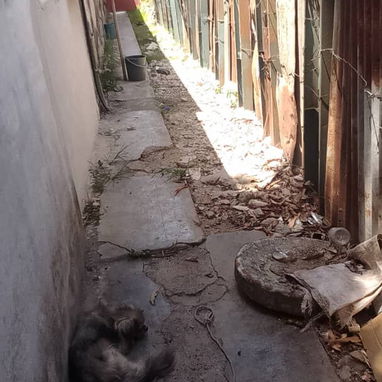 Se vende casa en San José de las lajas - 5/10