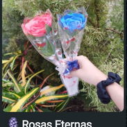 Rosas y tulipanes Eternos 1500 cada uno - Img 58067358
