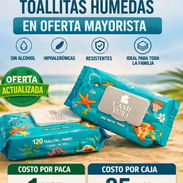 Toallitas Húmedas - Img 58262532