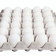Cartones de huevos - Img 45601163