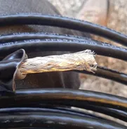cable coaxial - Img 50701452