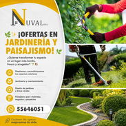 Servicio de jardinería - Img 57528695