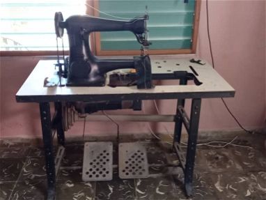 Máquina de coser calzado - Img 64415308