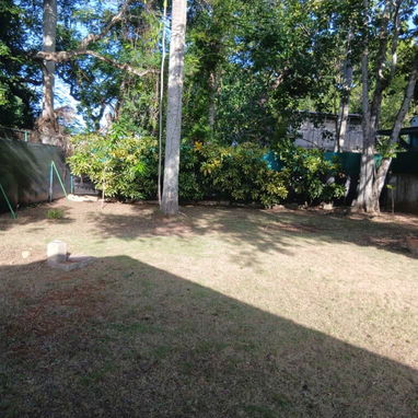 Servicio de jardinería 👩🏼‍🌾 - Img 127789643