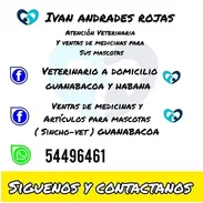Veterinario a domicilio - Img 55163351