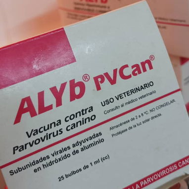Simparica y vacunas – Adrian’s Pet Shop – Salud y cuidado animal (Kinetica) - Img 122946098