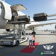 Tu mascota lista para viajar contigo? Nos ocupamos de todos los trámites, con asesoría y acompañamiento en el proceso - Img 52137174